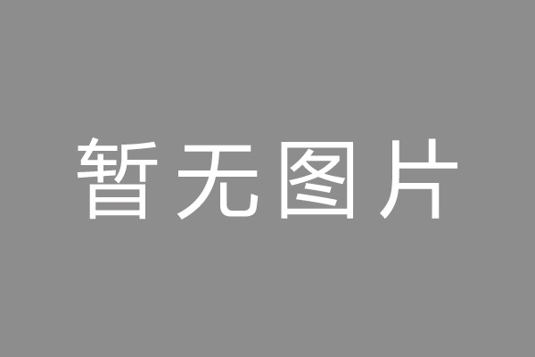 测试公司新闻 1